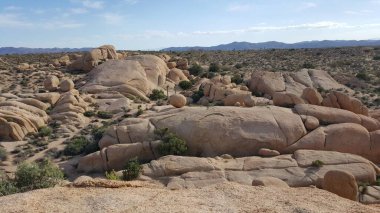 Joshua Tree Ulusal Parkı, Kaliforniya 'daki kayaların manzarası. Yüksek kalite fotoğraf