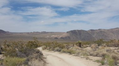 Joshua Tree Ulusal Parkı 'ndaki Dirt Road' da araba sürüyorum. Yüksek kalite fotoğraf