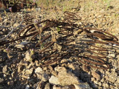 Arizona Çölü 'ndeki terk edilmiş maden sahasındaki Rusty Old Springs. Yüksek kalite fotoğraf