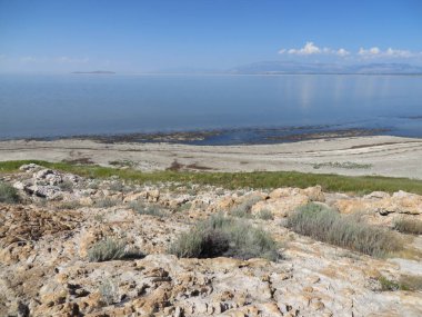 Great Salt Lake sahil şeridi, Antilop Adası Eyalet Parkı, Utah, ABD. Yüksek kalite fotoğraf