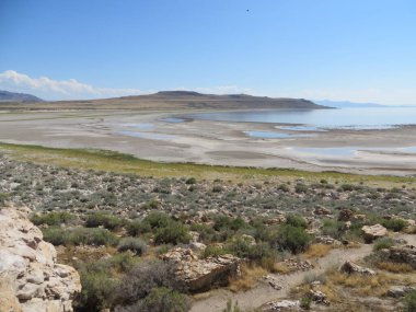 Antelope Adası Eyalet Parkı 'nda yürüyüş, Utah, ABD, Büyük Tuz Gölü. Yüksek kalite fotoğraf