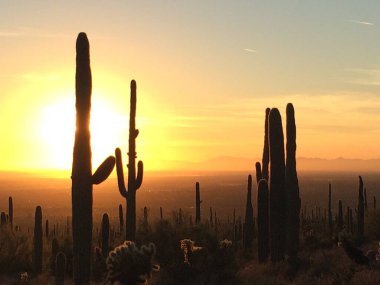 Sonoran Çölü 'nde günbatımı Apache Kavşağı, Arizona, doğu vadisi, Phoenix. Yüksek kalite fotoğraf