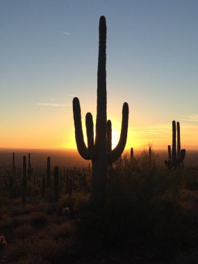 Sonoran Çölü 'nde günbatımı Apache Kavşağı, Arizona, doğu vadisi, Phoenix. Yüksek kalite fotoğraf