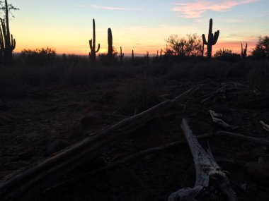 Sonoran Çölü 'nde günbatımı Apache Kavşağı, Arizona, doğu vadisi, Phoenix. Yüksek kalite fotoğraf