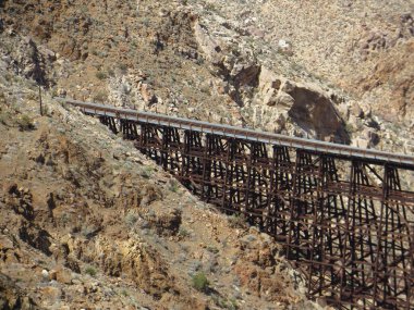 Keçi Kanyonu Tepesi, En Büyük Ahşap Ağaçlık, Anza Borrego Çölü, Kaliforniya. Yüksek kalite fotoğraf