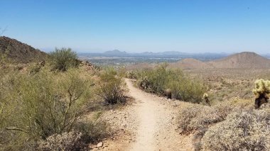 Phoenix, Arizona yakınlarındaki Running on a Desert Trail 'den görüntü. Yüksek kalite fotoğraf