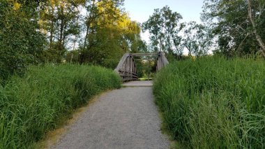 Seattle, Washington, Pasifik Kuzeybatı yakınlarındaki patika ve tahta yaya köprüsü. Yüksek kalite fotoğraf