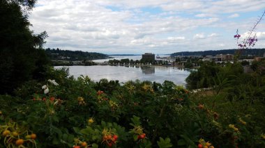 Olympia, Washington, View through the Trees. High quality photo clipart