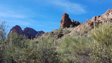 Çöl manzarası, Batıl inanç dağlarında yürüyüş Phoenix yakınlarında, AZ. Yüksek kalite fotoğraf