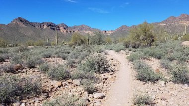 Arizona Apaçi Kavşağı yakınlarında yürüyüş. Çöl manzarasında bir patika. Yüksek kalite fotoğraf