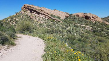 Bahar mevsiminde, Arizona 'daki Batıl inanç Dağları' nda geniş yürüyüş yolu. Yüksek kalite fotoğraf
