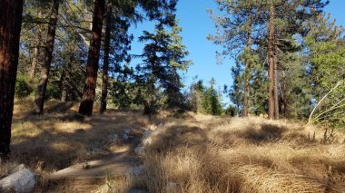 Kampa giden patika, Eaton Canyon 'da yürüyüş, Los Angeles yakınlarındaki Henninger Düzlükleri. Yüksek kalite fotoğraf