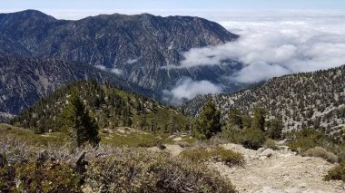 Dağ yürüyüşü. San Gabriel Dağları, Kaliforniya 'da keldi. Aynı zamanda Mt. San Antonio, Los Angeles yakınlarında. Yüksek kalite fotoğraf