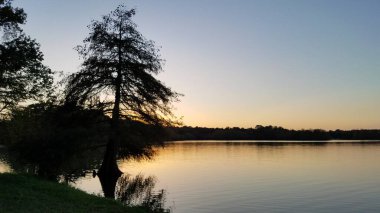 Silhouette Trees ile Teksas, Houston Gölü 'nde gün batımı. Yüksek kalite fotoğraf