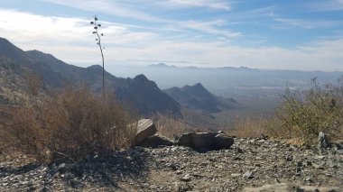 Çöl manzarası, Arizona Scottsdale 'deki McDowell Sonoran Konservesi' nde yürüyüş. Yüksek kalite fotoğraf