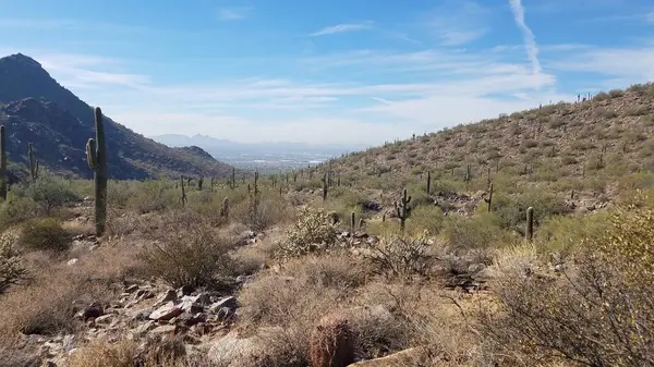 Çöle Gündüz Yürüyüşü, McDowell Sonoran Koruma Alanı Scottsdale, Arizona. Yüksek kalite fotoğraf