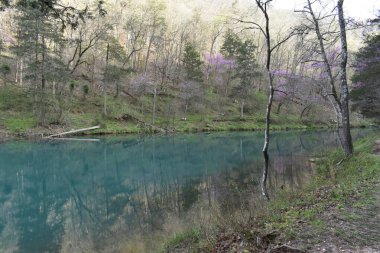 Bahar mevsimi Mirror Lake, Blanchard Springs, Mountain View, Arkansas. Yüksek kalite fotoğraf
