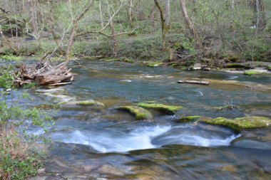 Blanchard Springs 'ten gelen su, Mountain View, Arkansas. Yüksek kalite fotoğraf