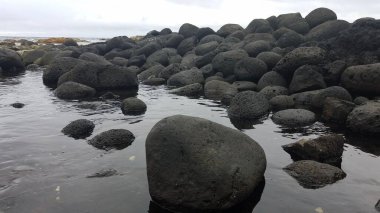Pürüzsüz volkanik kayalar, Okyanus manzarası, Lehia Beach Parkı, Hilo, Hawaii. Yüksek kalite fotoğraf