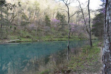 Fairy Tale Like View, Mirror Lake, Blanchard Springs, Mountain View, Arkansas . Yüksek kalite fotoğraf