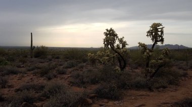 Batıl inanç Dağları 'nda karamsar bir gün, Broadway Patikası' ndan yürüyüş. Apaçi kavşağı, Arizona. Yüksek kalite fotoğraf