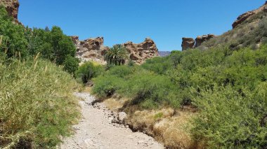 Yürüme Yolu, Boyce Thompson Botanik Bahçesi Yolu, Üstün, Arizona. Yüksek kalite fotoğraf