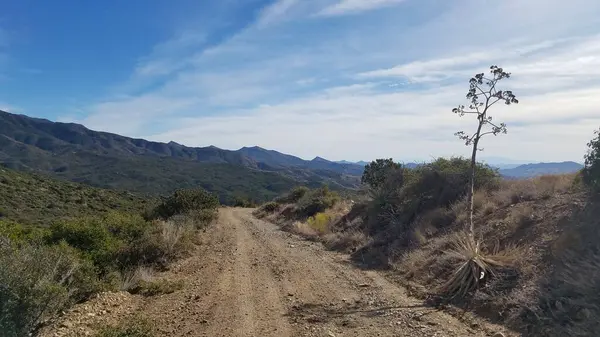 Arizona 'da Edge of Cliff' teki One Lane Dirt Road 'da 4x4 araç kullanıyor. Yüksek kalite fotoğraf
