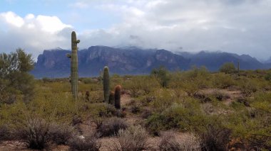 Arizona 'daki Hurafe Dağları' nın Bulutlu Kış Manzarası, Üstte Kar. Yüksek kalite fotoğraf