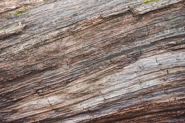Old Wood Texture Background Cracks Aged Wood Texture Background — Stock Photo, Image