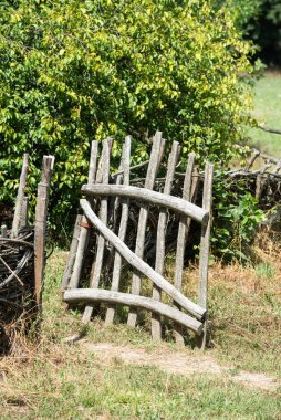 Eski kırsal ahşap çit ve Humulus lupulus bitkisi olan kapı. Köyün geleneksel el yapımı çiti.
