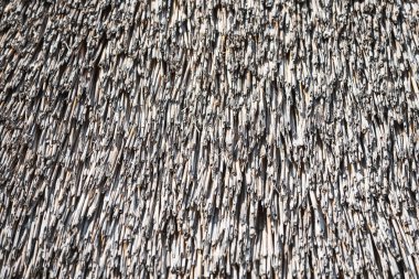 Yapıya yakın çekim. Parlak güneş ışığı altında sazdan yapılmış eski bir çatı. Yıpranmış sazdan çatı dokusu