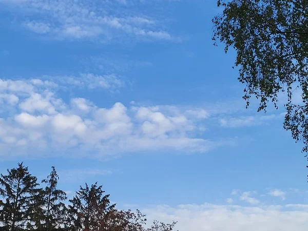 Schöne Aussicht Den Himmel Man Kann Auch Ein Paar Zweige — Stockfoto