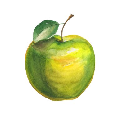 Yeşil Elma beyaz arkaplanda izole edildi 