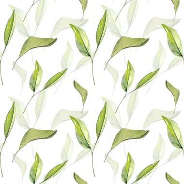 Yeşil yaprakları ile sulu boya Dikişsiz desen