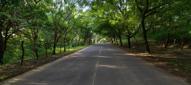 Güzel bir yol manzarası