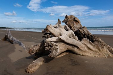 Evde paslı duvar olan eski demir pencere.