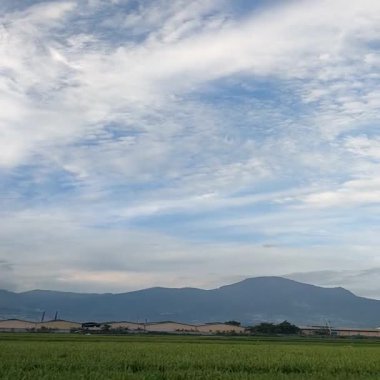 Geniş mavi gökyüzünün altında büyüleyici bulut oluşumlarıyla dolu canlı yeşil pirinç tarlalarının yer aldığı sakin kırsal bir manzara..