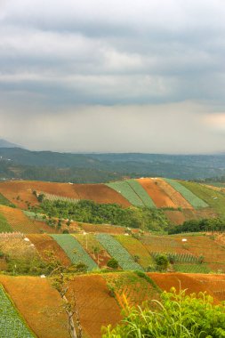 Şiddetli ekin tarlaları ve tepeleriyle panoramik tarım arazisi. Şiddetli yağmur ve bulutlu gökyüzü altındaki uzak bir şehre bakıyor. Kırsal doğa ve kentsel atmosferin bir çerçevede karışımı..