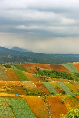 Şiddetli ekin tarlaları ve tepeleriyle panoramik tarım arazisi. Şiddetli yağmur ve bulutlu gökyüzü altındaki uzak bir şehre bakıyor. Kırsal doğa ve kentsel atmosferin bir çerçevede karışımı..