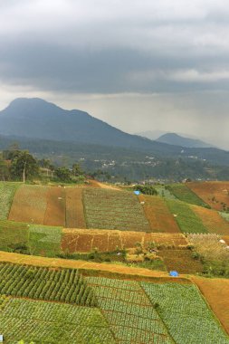 Şiddetli ekin tarlaları ve tepeleriyle panoramik tarım arazisi. Şiddetli yağmur ve bulutlu gökyüzü altındaki uzak bir şehre bakıyor. Kırsal doğa ve kentsel atmosferin bir çerçevede karışımı..