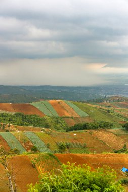 Şiddetli ekin tarlaları ve tepeleriyle panoramik tarım arazisi. Şiddetli yağmur ve bulutlu gökyüzü altındaki uzak bir şehre bakıyor. Kırsal doğa ve kentsel atmosferin bir çerçevede karışımı..