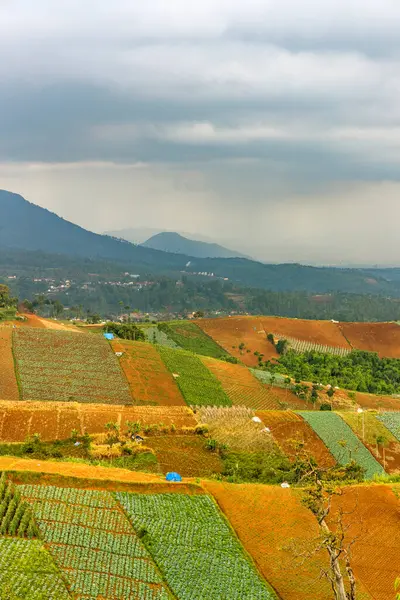 Şiddetli ekin tarlaları ve tepeleriyle panoramik tarım arazisi. Şiddetli yağmur ve bulutlu gökyüzü altındaki uzak bir şehre bakıyor. Kırsal doğa ve kentsel atmosferin bir çerçevede karışımı..