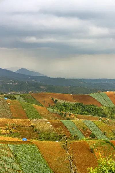 Şiddetli ekin tarlaları ve tepeleriyle panoramik tarım arazisi. Şiddetli yağmur ve bulutlu gökyüzü altındaki uzak bir şehre bakıyor. Kırsal doğa ve kentsel atmosferin bir çerçevede karışımı..