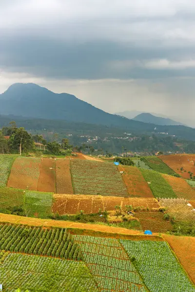 Şiddetli ekin tarlaları ve tepeleriyle panoramik tarım arazisi. Şiddetli yağmur ve bulutlu gökyüzü altındaki uzak bir şehre bakıyor. Kırsal doğa ve kentsel atmosferin bir çerçevede karışımı..