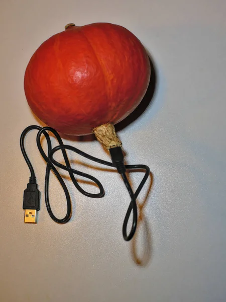 Oortelefoons Kabel Aangesloten Een Squash — Stockfoto