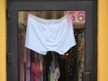 Very large underpants hanging on a glass door.