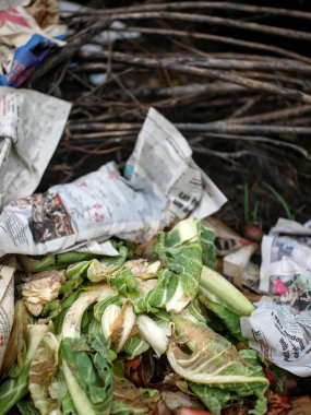 cabbage leaf and old newspapers on a compost heap
