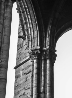 Bir bazilikanın Gotik mimarisinin siyah ve beyaz alt açılı görüntüsü