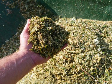 El arabasının üzerinde bir avuç bitki gübresi