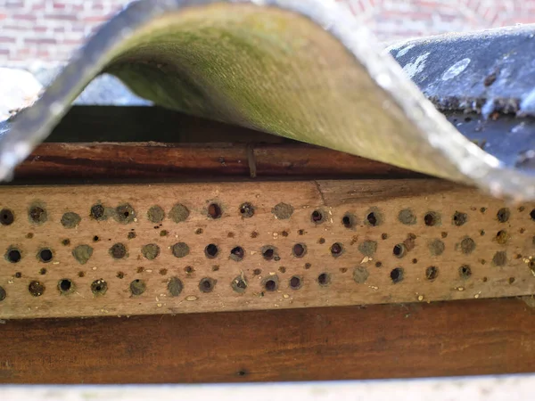 Schronienie Dla Dzikich Pszczół Wykonane Kawałka Niepoddanego Obróbce Drewna Przebitego — Zdjęcie stockowe